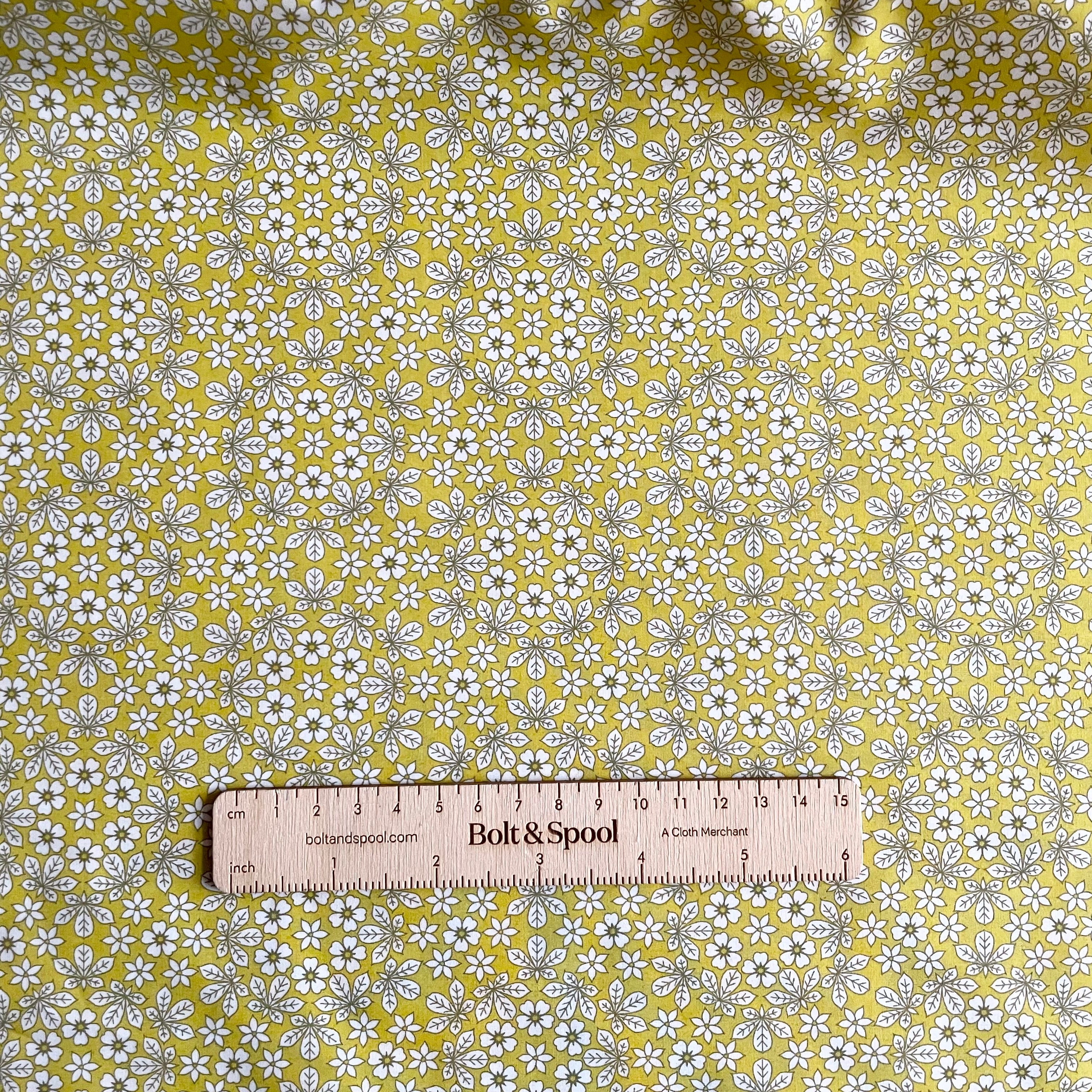 Liberty Fabrics Picadilly Poplin : Retold Collection - Godwin A