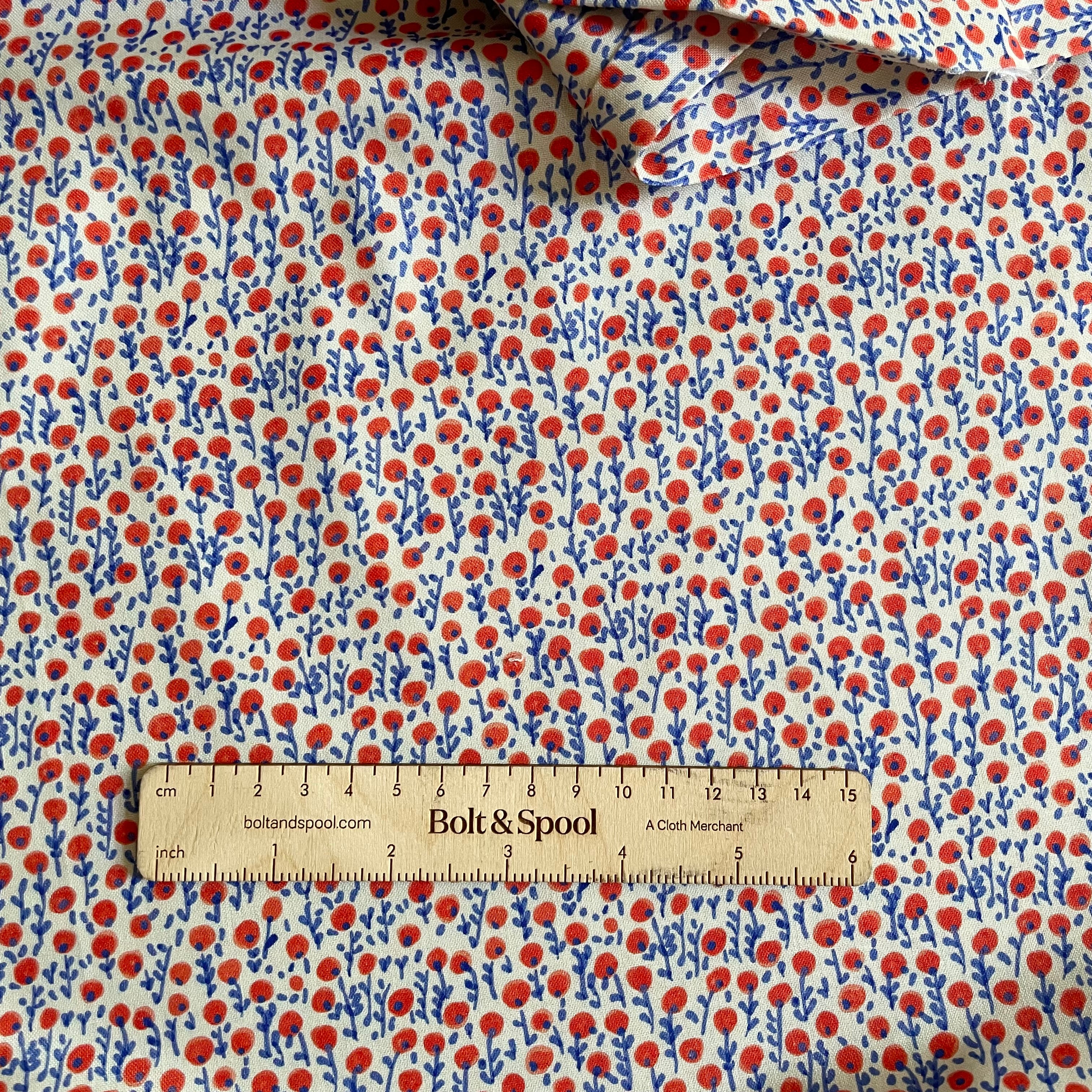 August Ellery : Petite Prints - Honey in Bloom