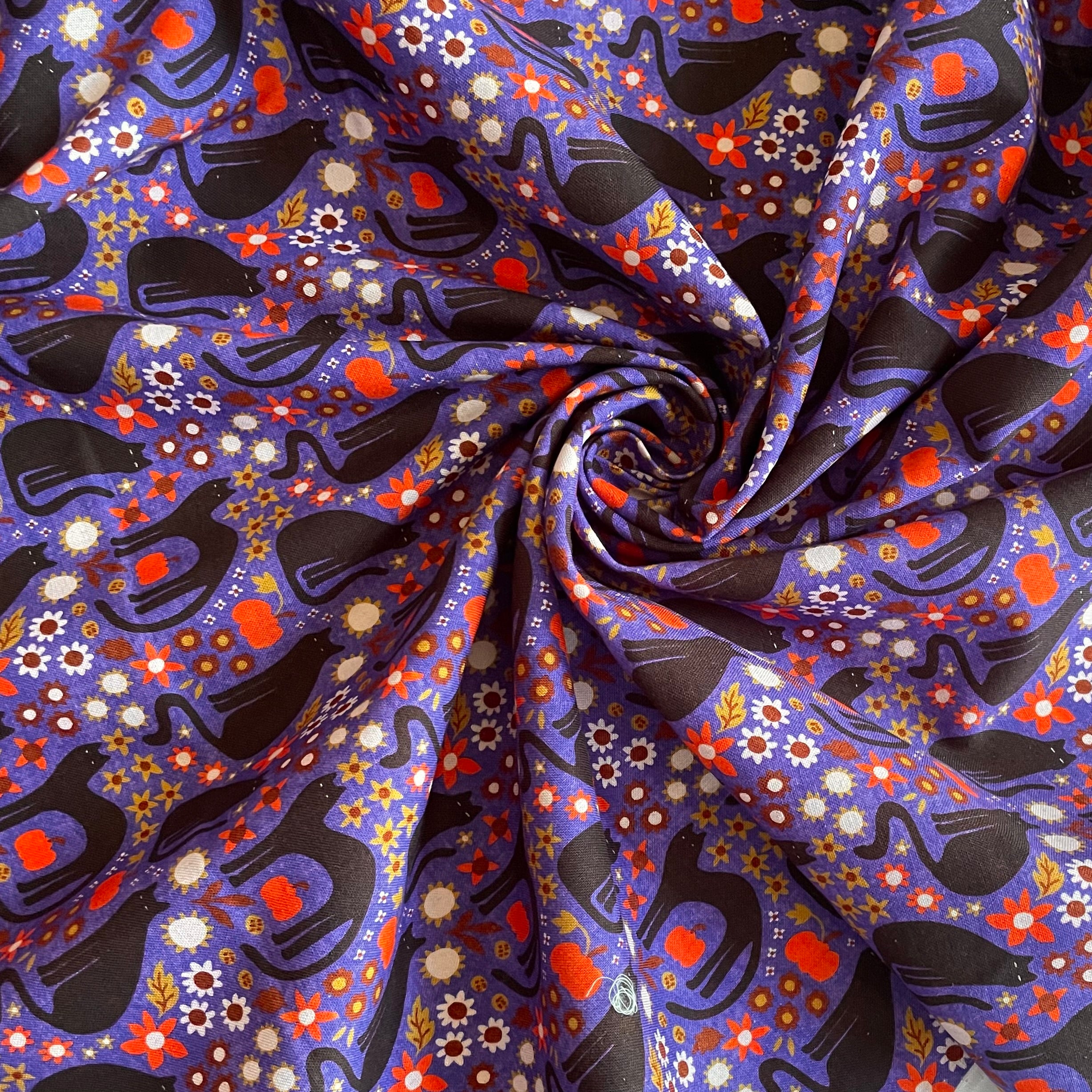 Cloud9 Organic Cotton : Sleepy Hollows - Morticia Blue
