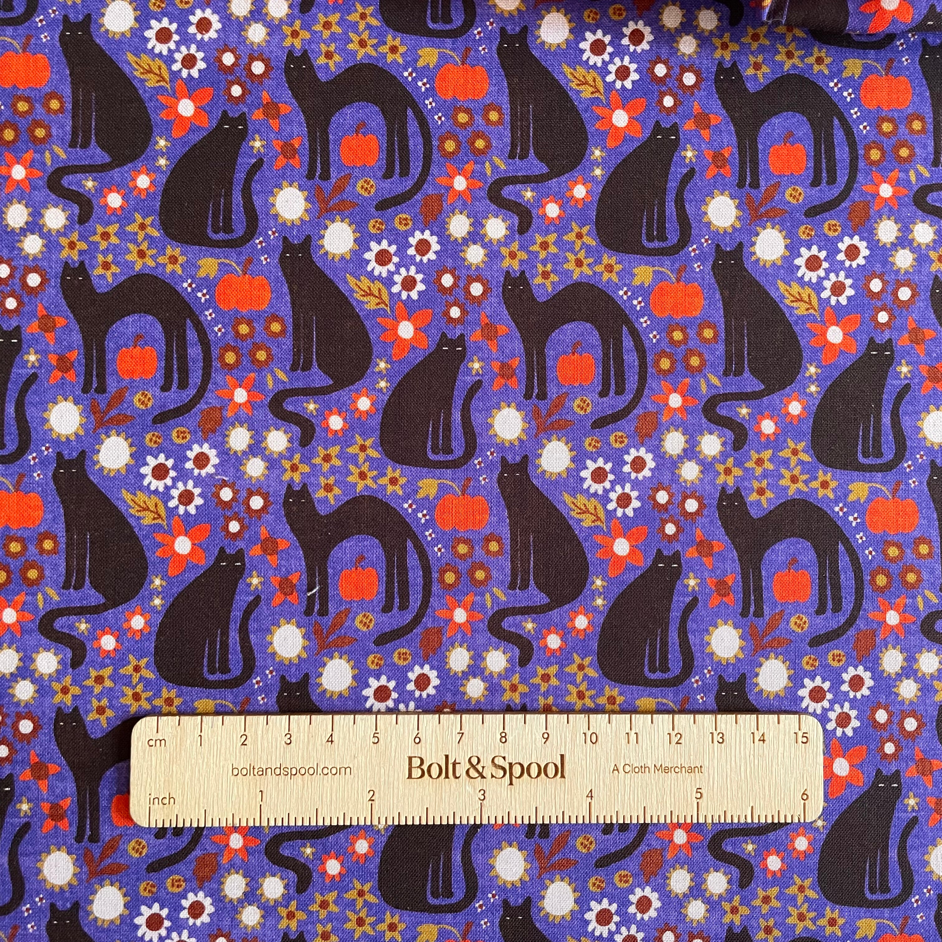 Cloud9 Organic Cotton : Sleepy Hollows - Morticia Blue