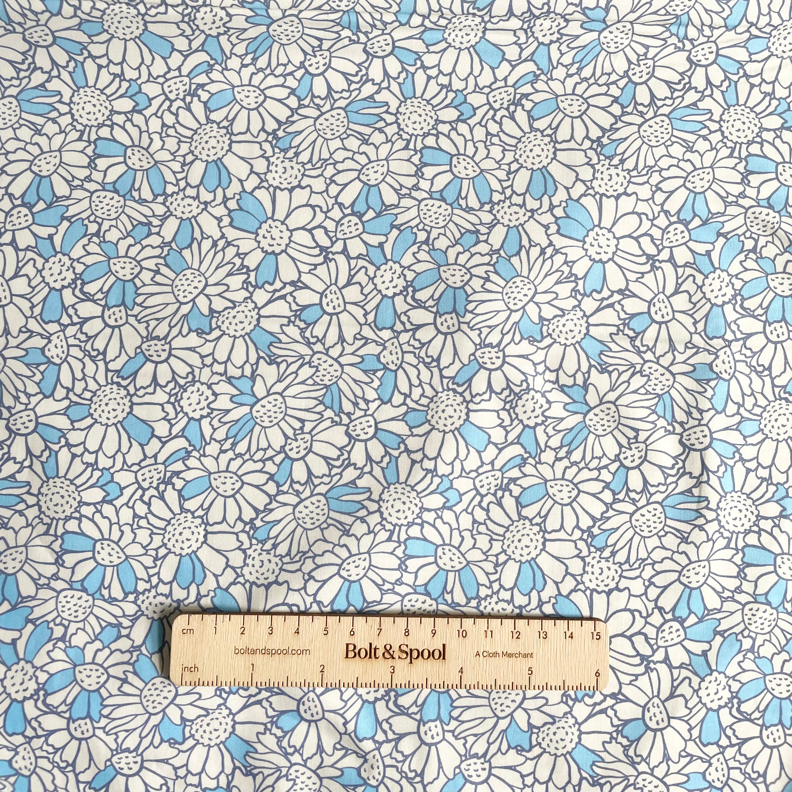 Paintbrush Studio : Pretty Petals - Blue