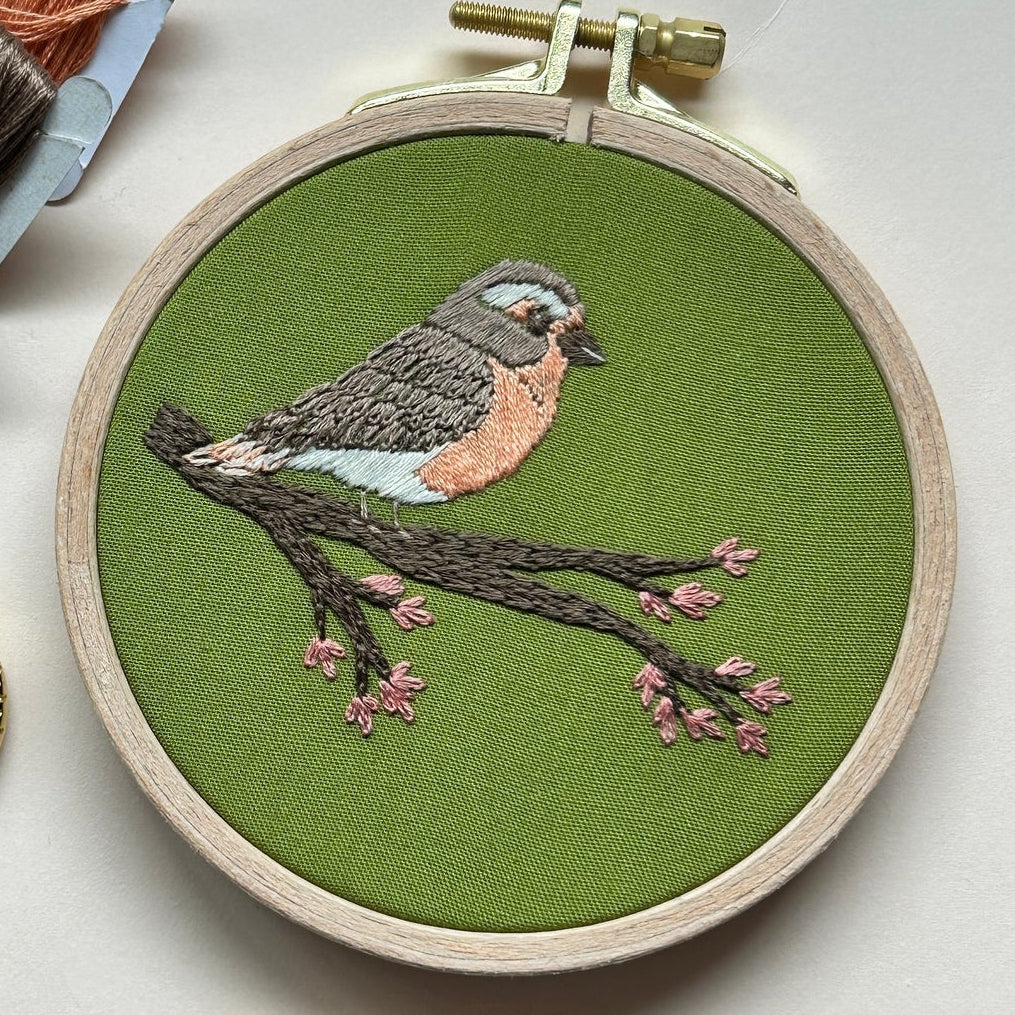 Spring robin beginner embroidery kit