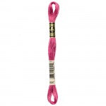 DMC 6-strand Floss #928-3743