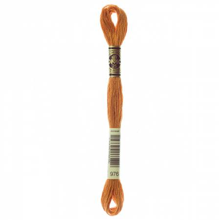 DMC 6-strand Floss #928-3743