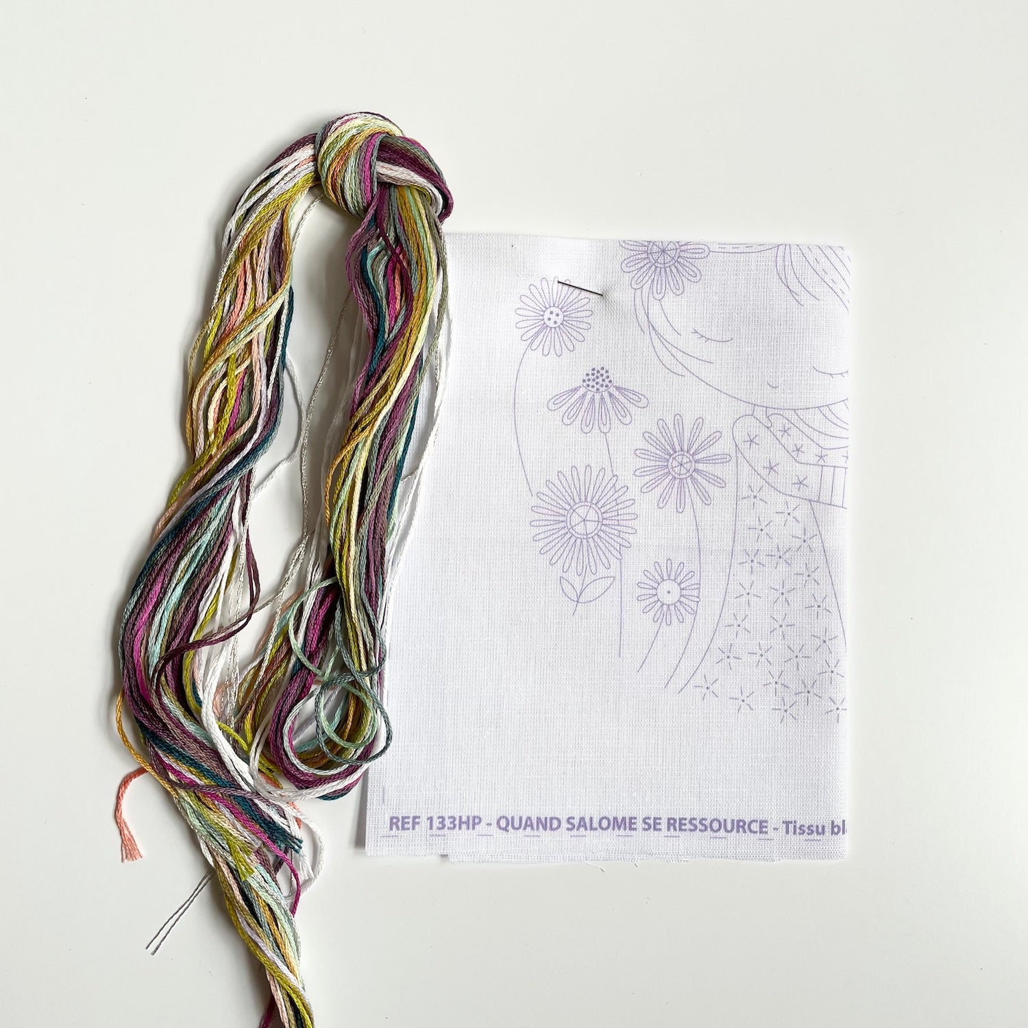 Un Chat Embroidery Kit : Resourceful Salome