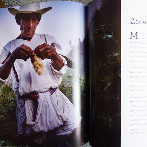 Oaxaca Stories in Cloth - Eric Sebastian Mindling