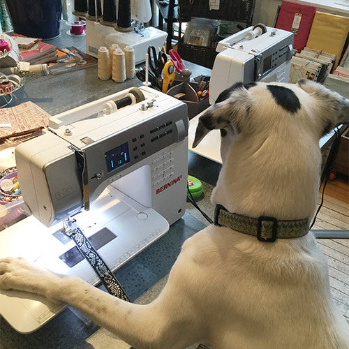 Handmade Holiday : Dog Collars