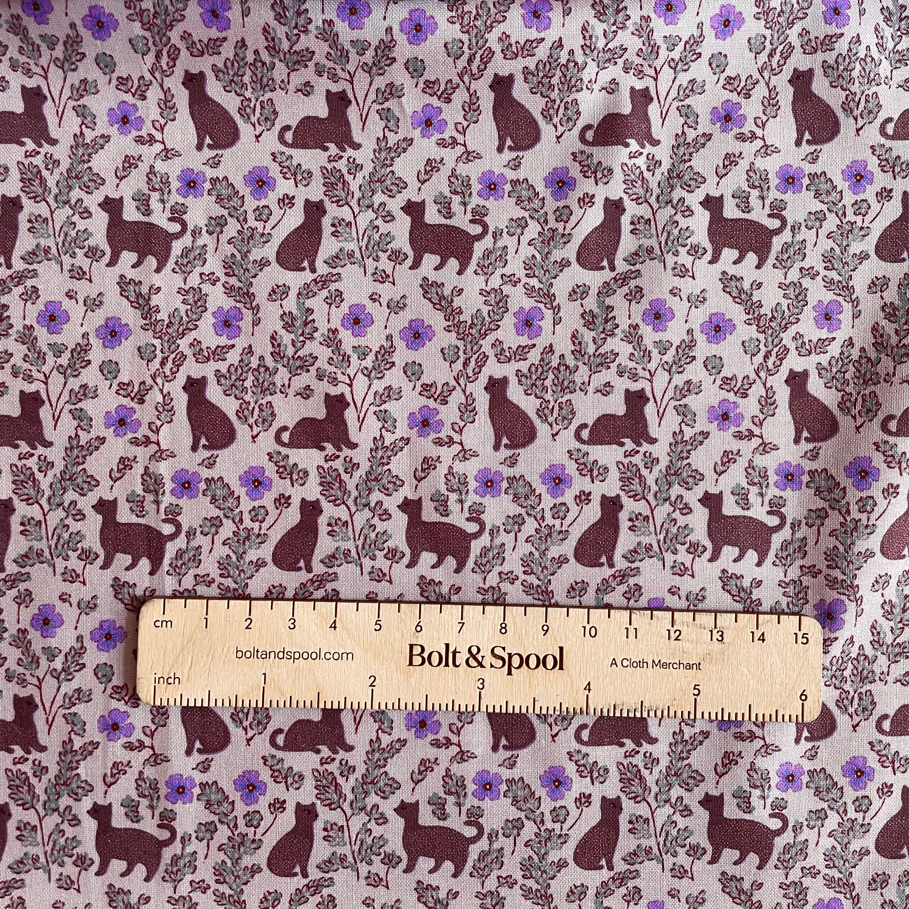 August Ellery : Hedgerow Cats Rose