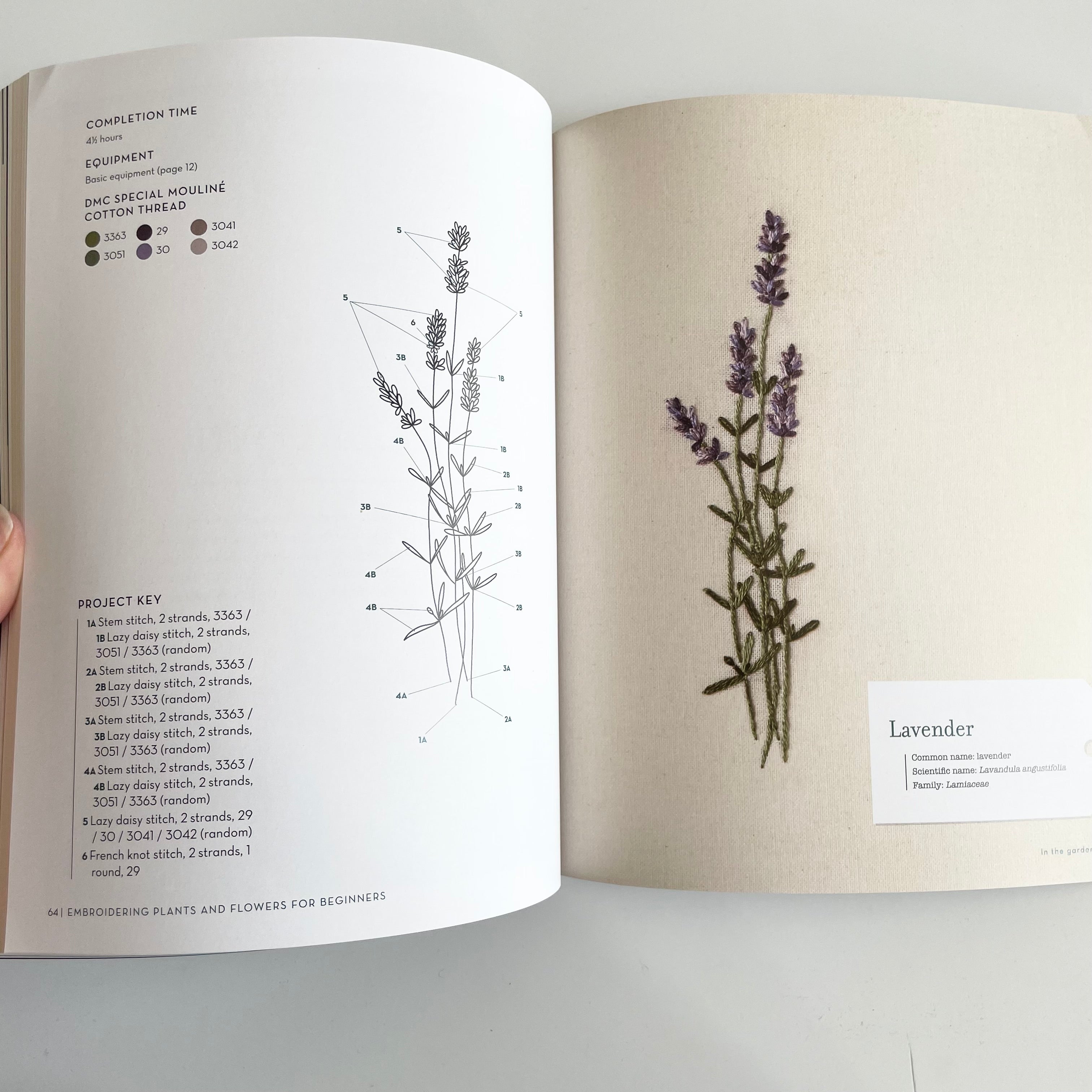 Embroidering Plants and Flowers - Charlene Pourias