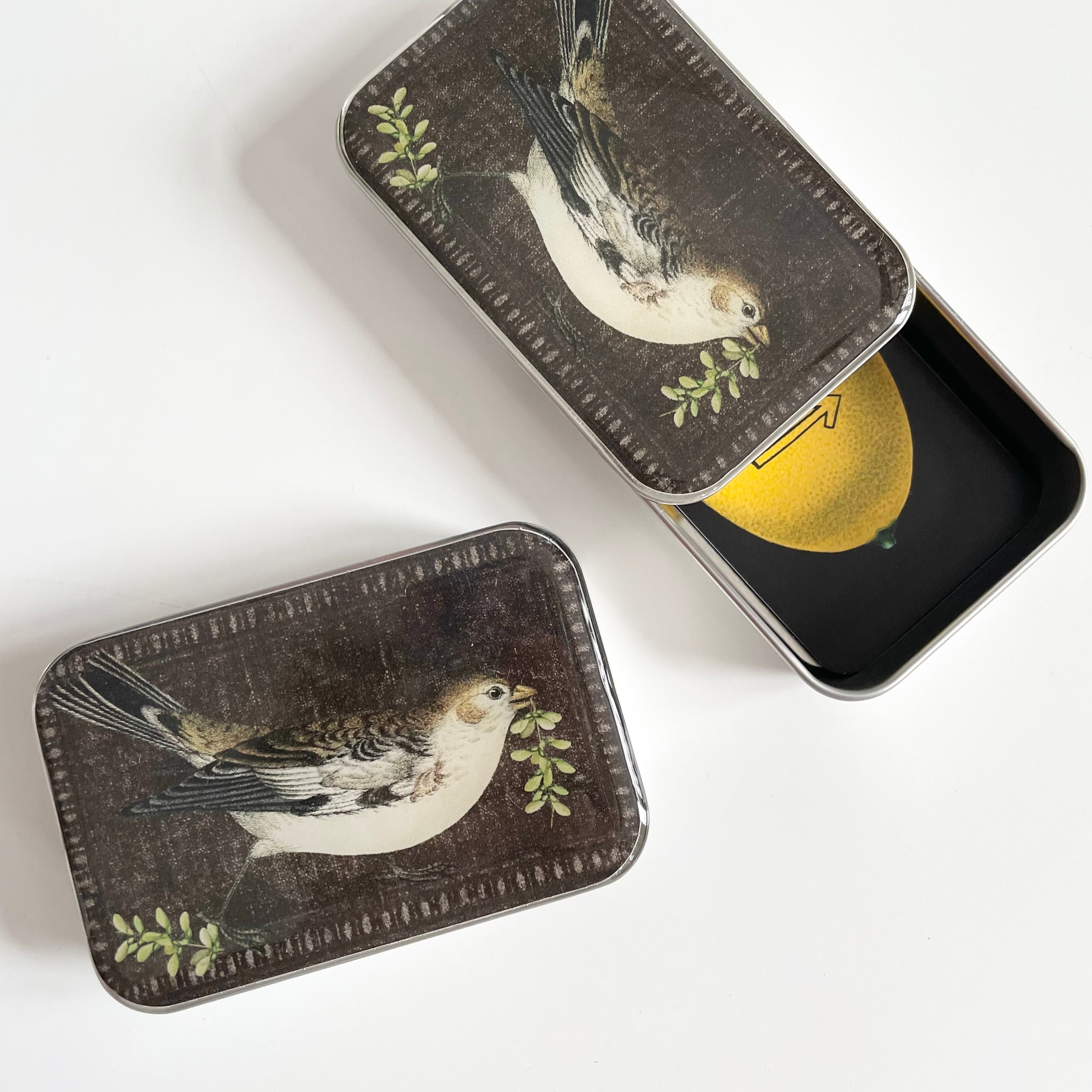 Firefly Notes Notions Tin - Birdsong