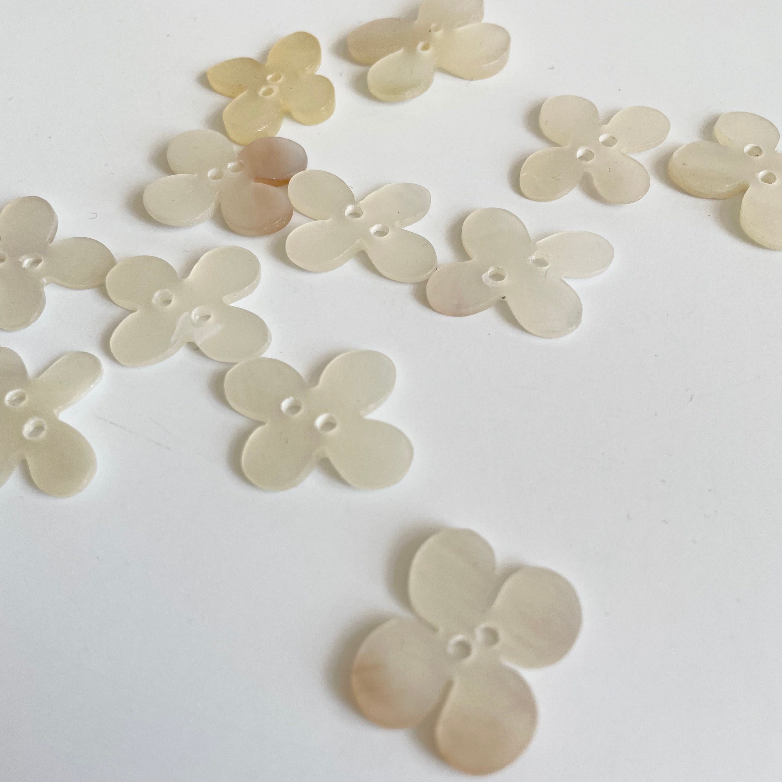 Hammershell Flower Button - White