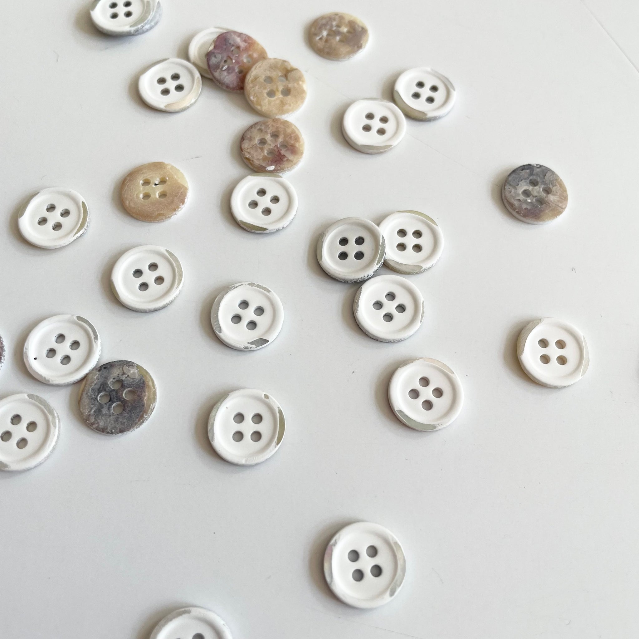 Painted Shell Button - White