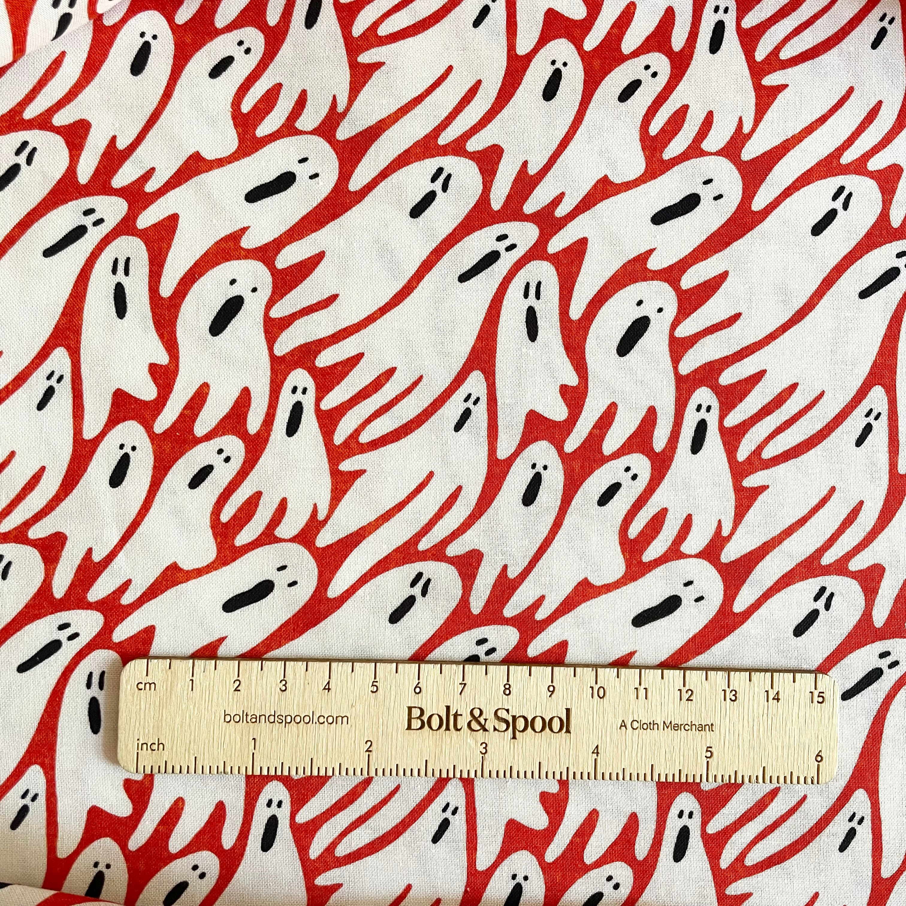 Cloud9 Organic Cotton : Sleepy Hollows - Herbert