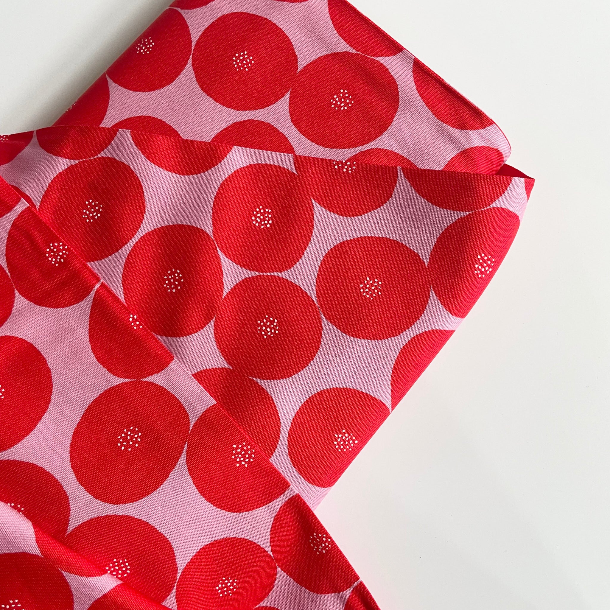 Kokka Oxford Canvas - Muddy Works An Pan Red