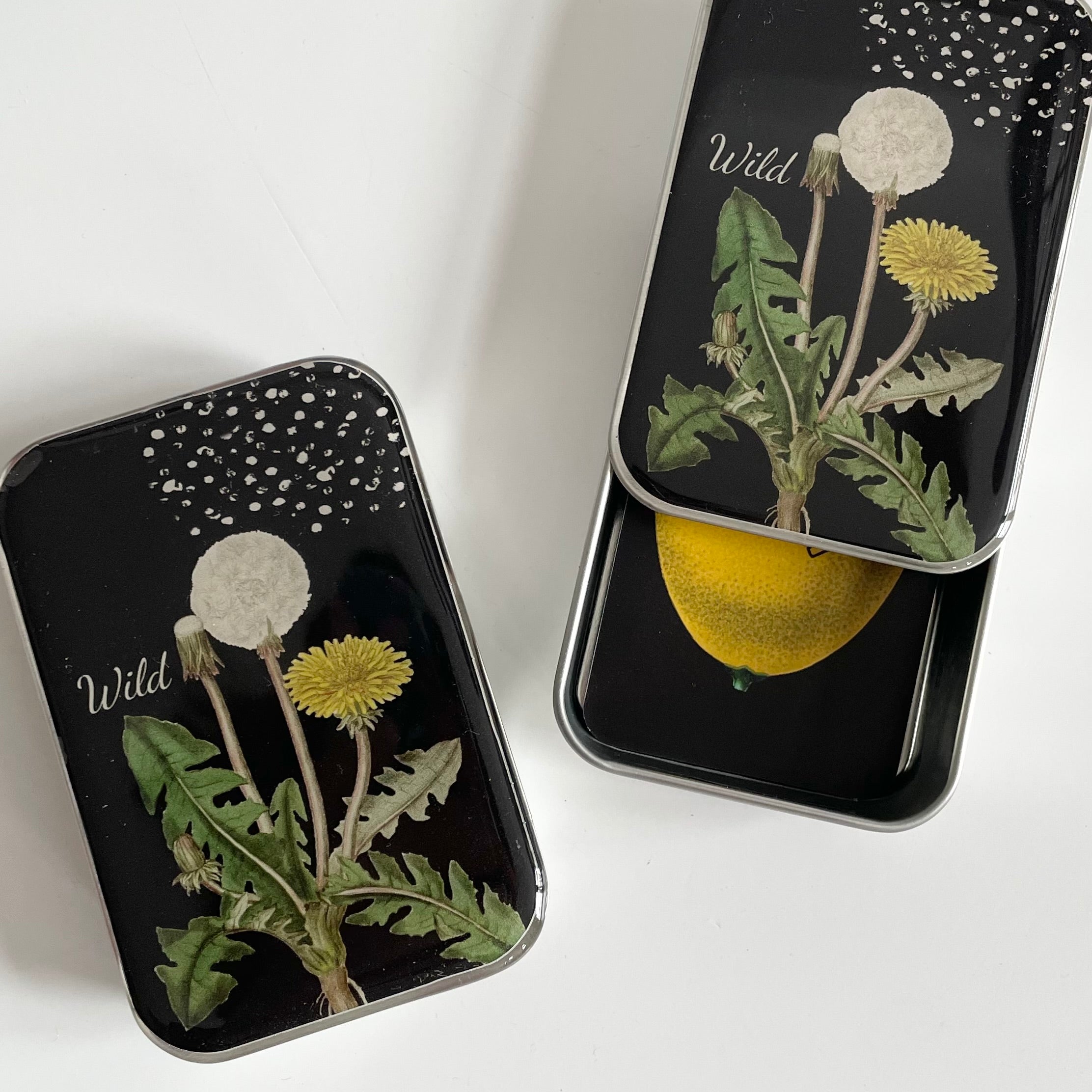 Firefly Notes Notions Tin - Dandelion