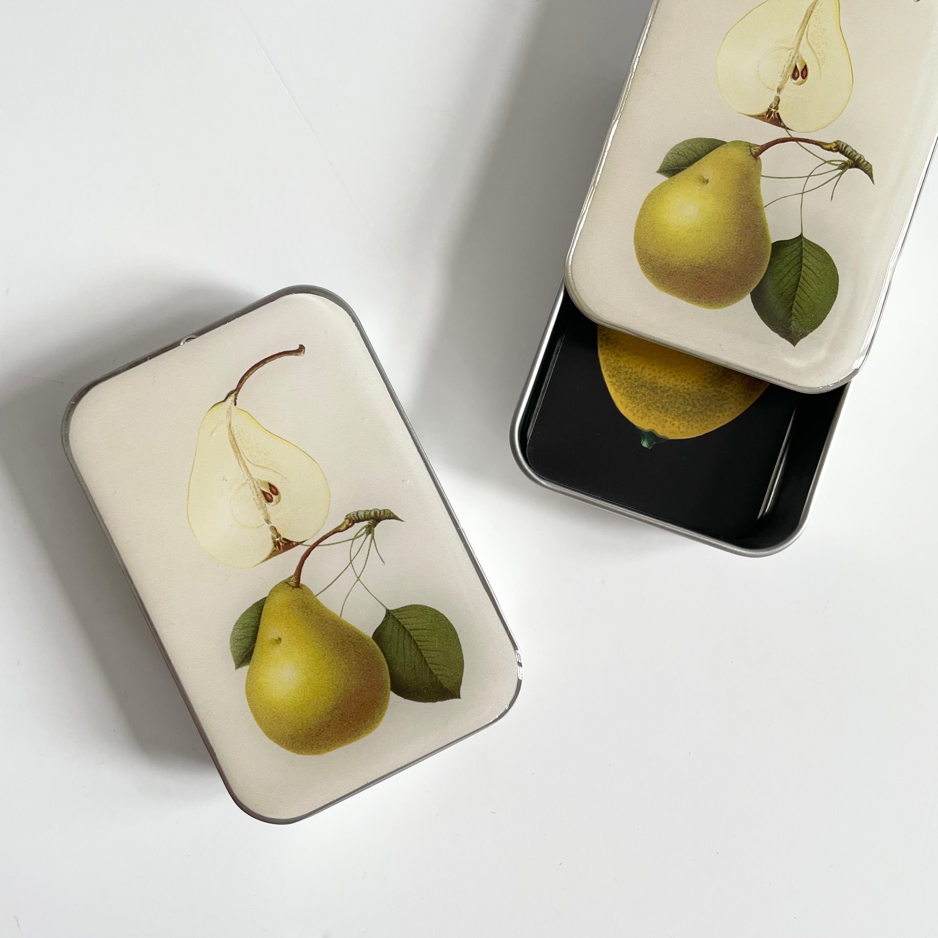 Firefly Notes Notions Tin - Botanical Pear
