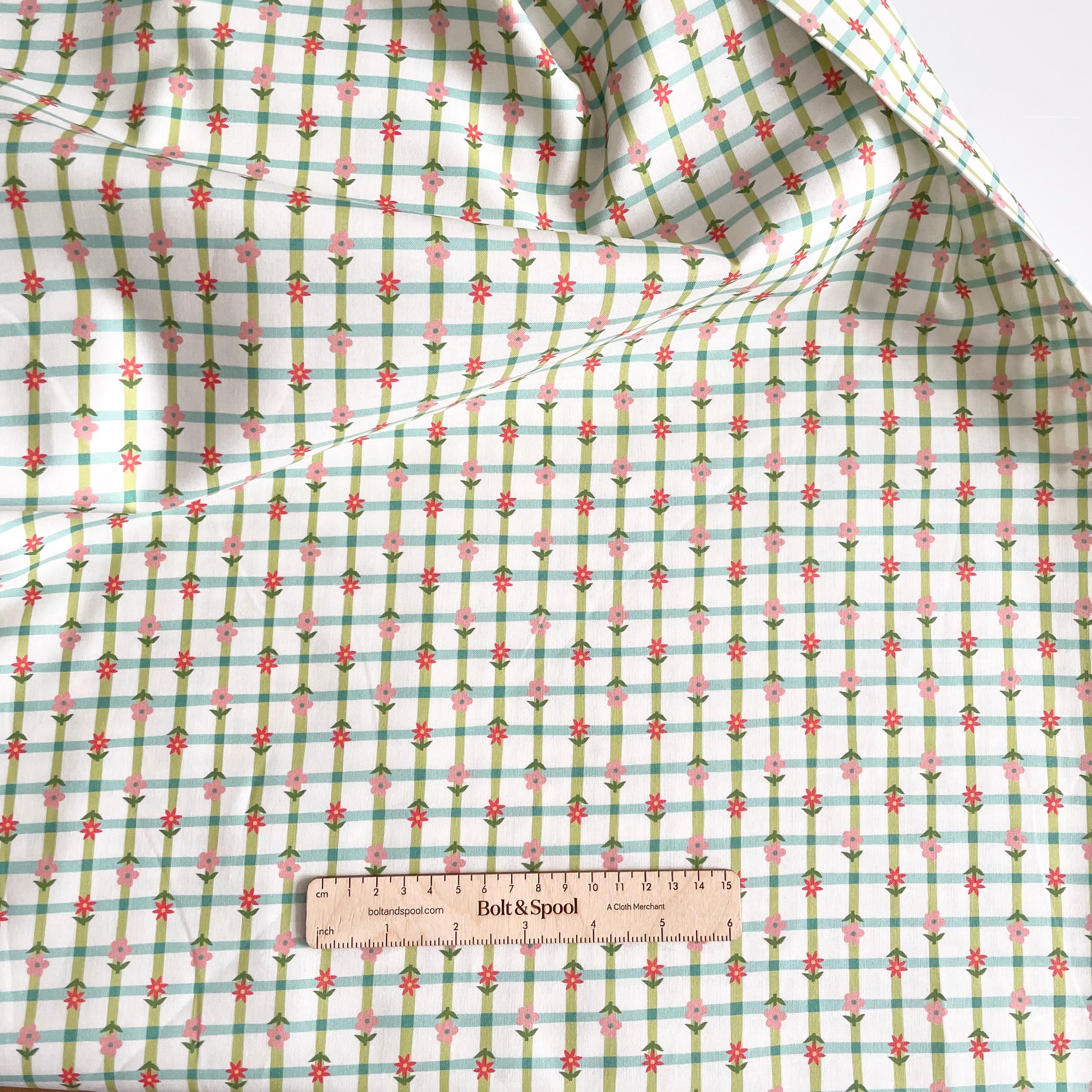 Cloud9 Organic Cotton : Love Bugs - Petal Plaid