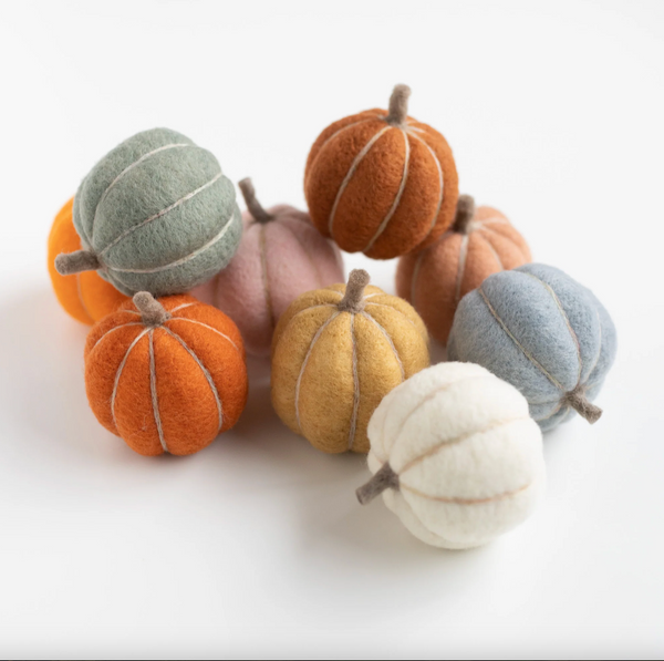 Felted Sky Needle Felting Kit : Pumpkin Party