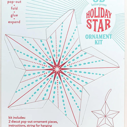 Cardboard Star Ornament Kit