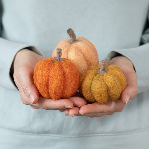 Felted Sky Mini Needle Felting Kit : Pumpkin Trio