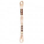 DMC 6-strand Floss #928-3743
